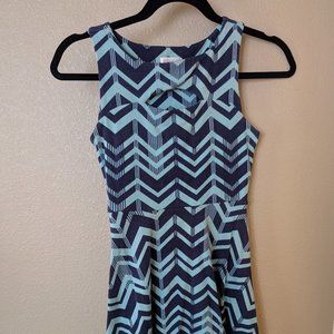 Xhilaration Chevron Skate Dress